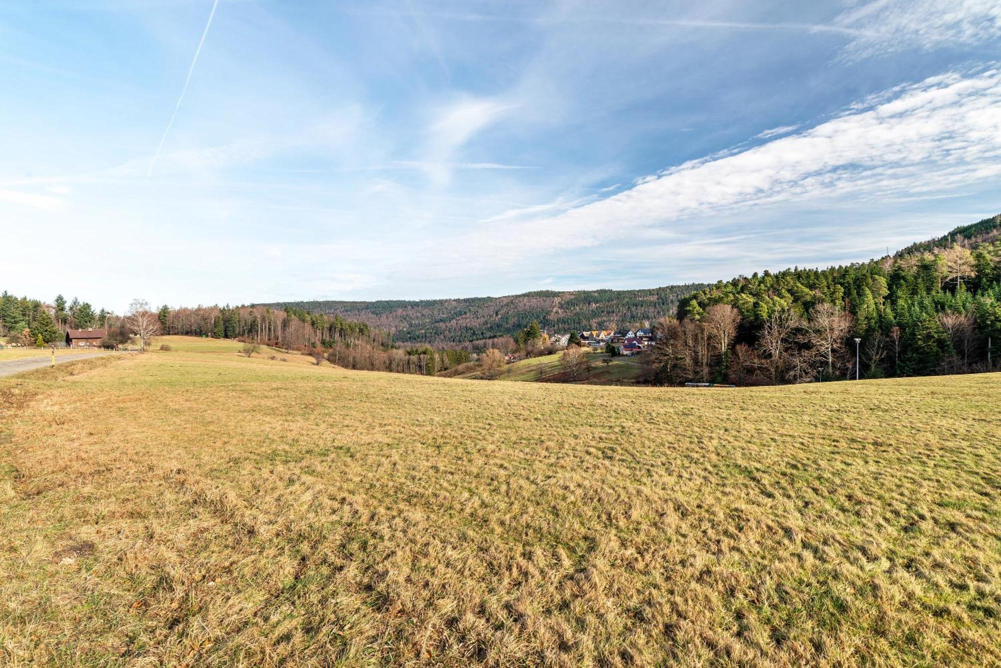 Ferienwohnung Schumacher Bad Herrenalb Bagian luar foto